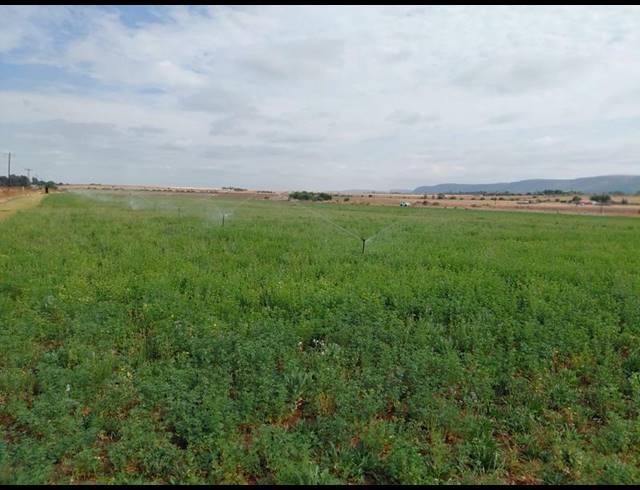 FARM FOR SALE IN BOSCHFONTEIN AH